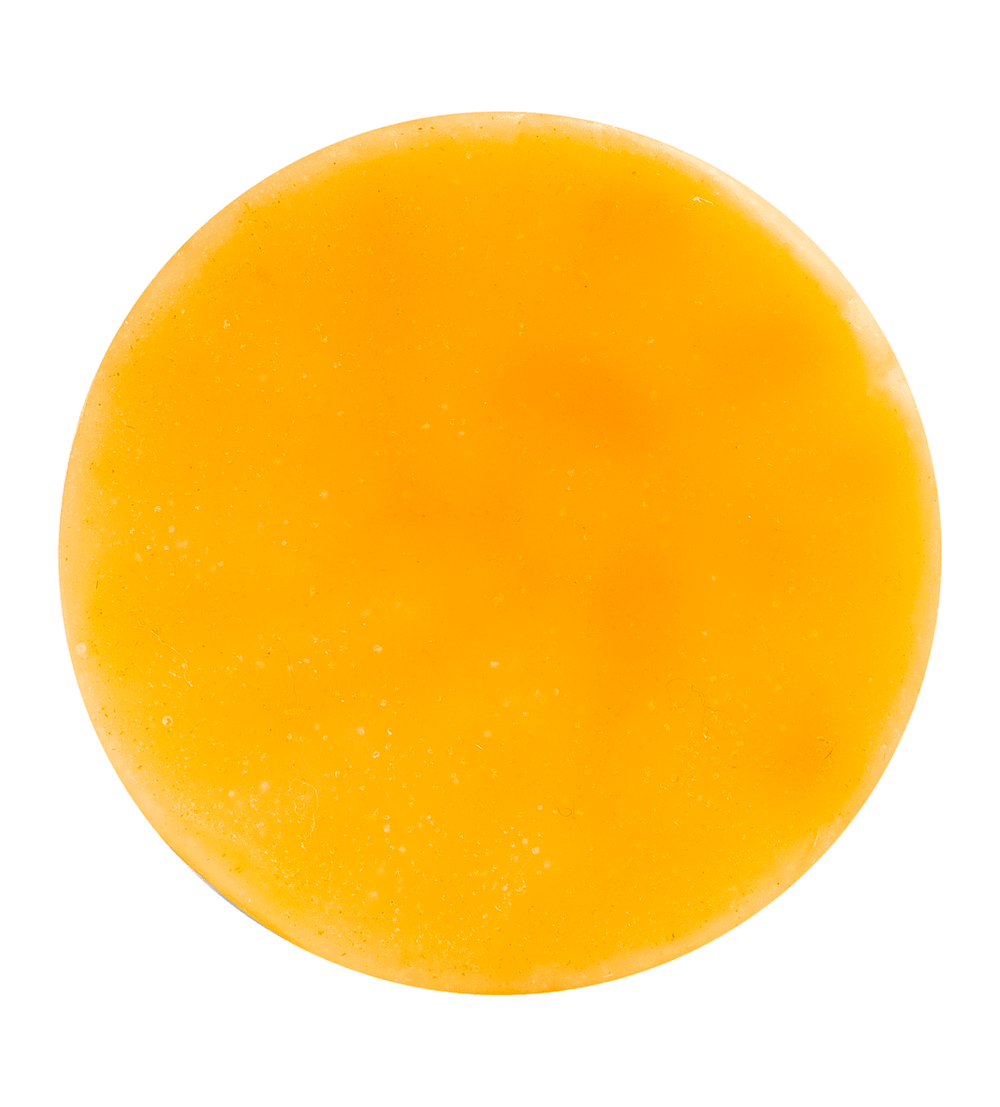 Fresh Citrus Conditioner Bar